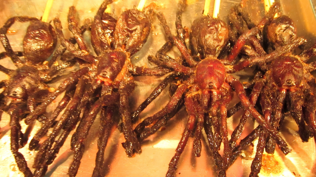 7. Fried Tarantula — Cambodia