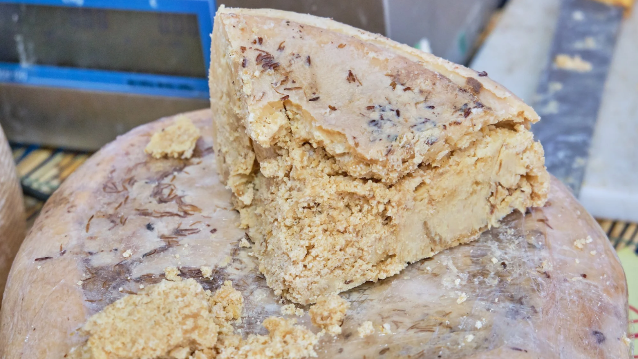 9. Casu Marzu